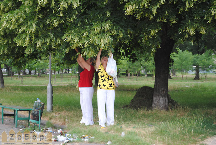 �������� ����