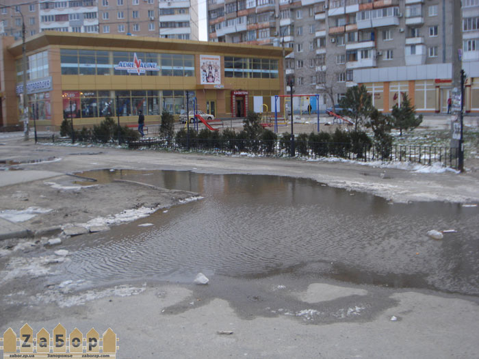 ���� ����� ������ 24 ����� � ���������