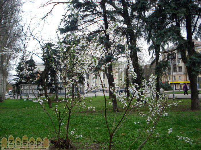 � ��������� ������� �������