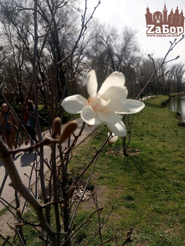 �������� �������� � ������� (���������)