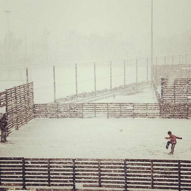 ��������. ������ ���������. ���������