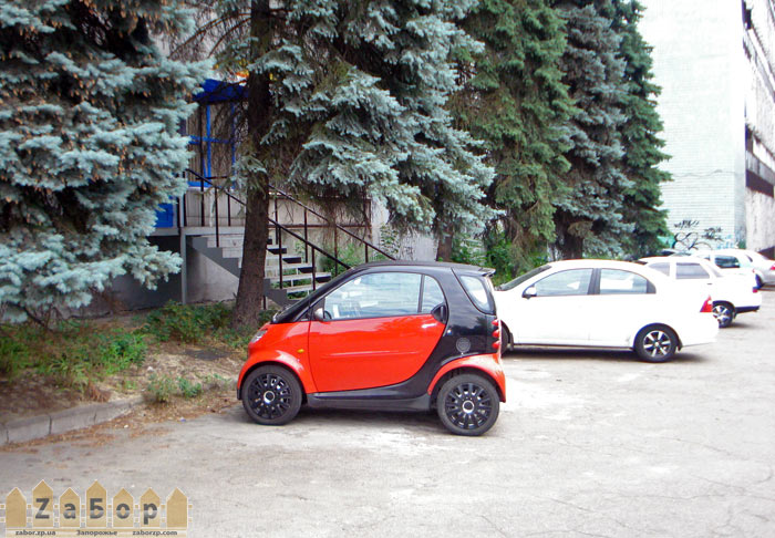 ����-������� (���������)