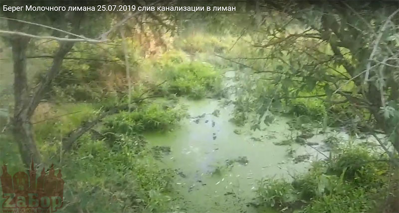 � �������� �� ������� �����������