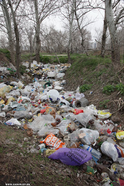 ������������ ���������� ���������