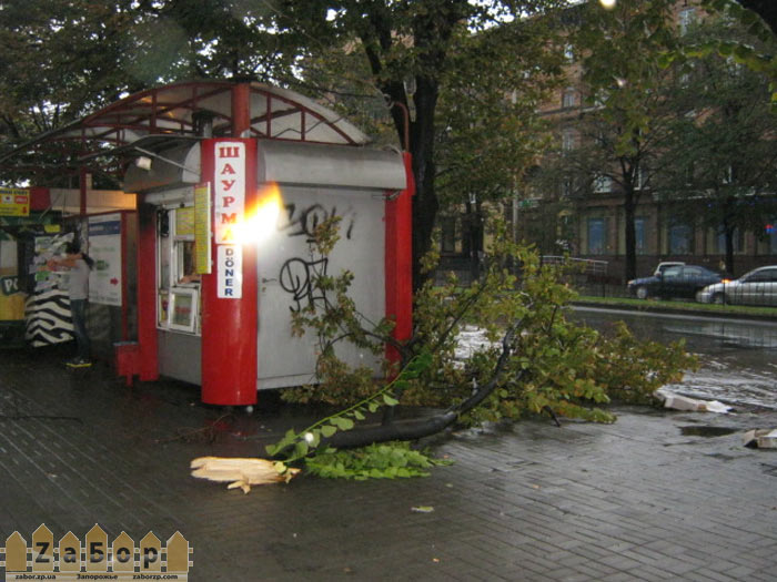 ������ ����� �� ������������ �������� �� ��. ���������� � ���������