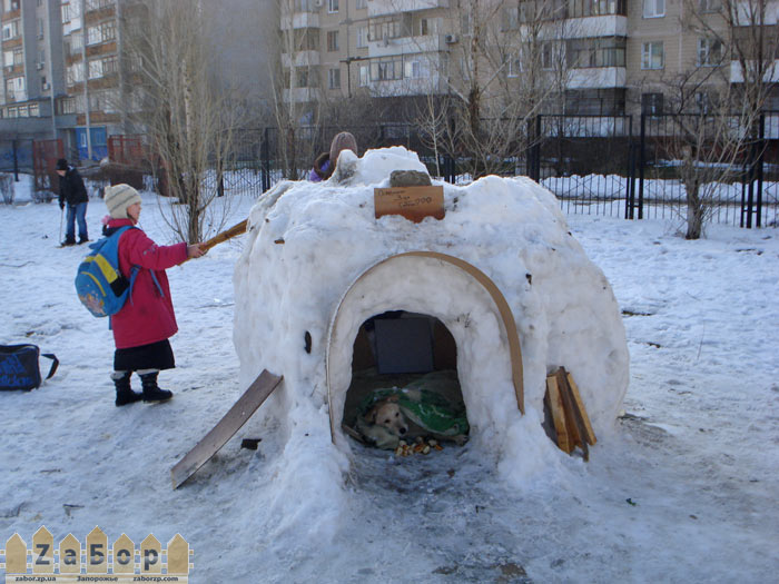 ������� ����� (���������)