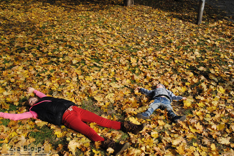 ����� � ���������