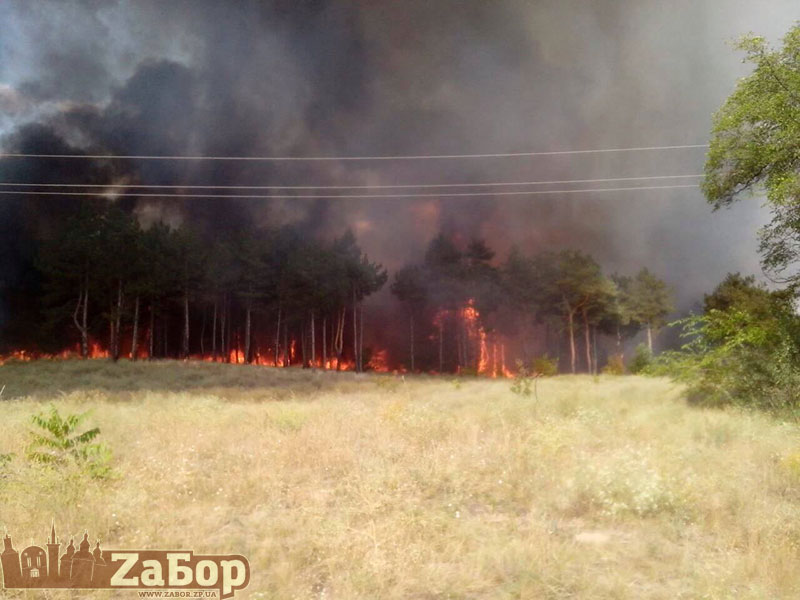 ����� �� �������