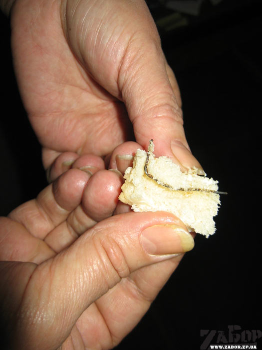 ��������� � �����