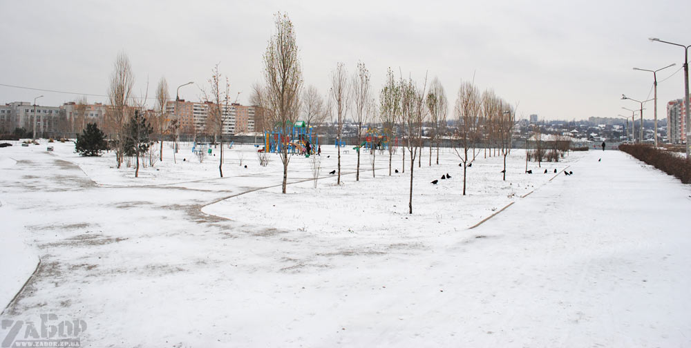 ������ ���� � ���������