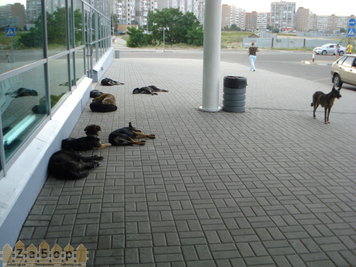 ���� ����� ����� ������� �� ������ � ���������