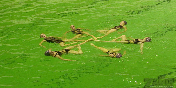 �������������� �������� �� ���� � �������� "��������" (���������)