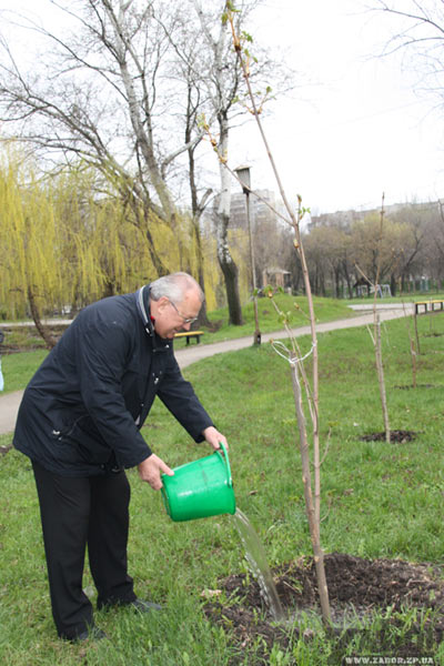 ���� ���������� ����� � ���������