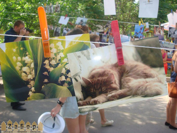 ��������� ����� � ���������