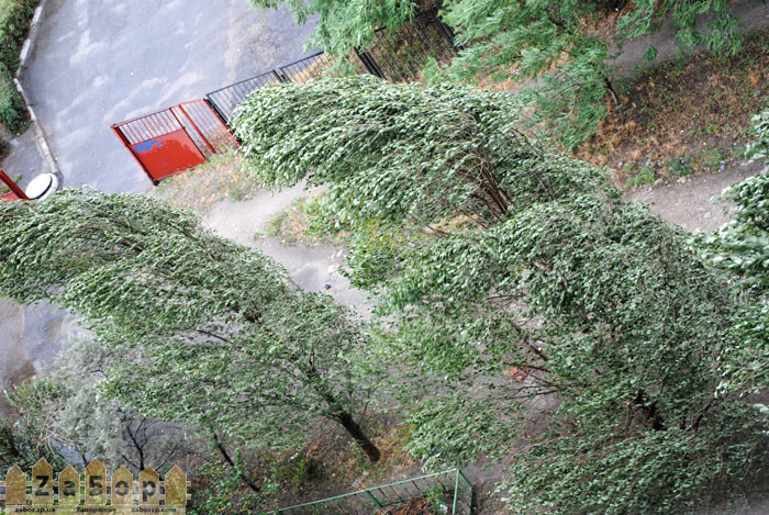 ������ �� ������ (���������)