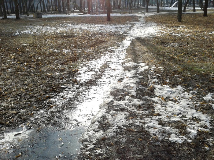 ����� �������� � ���������