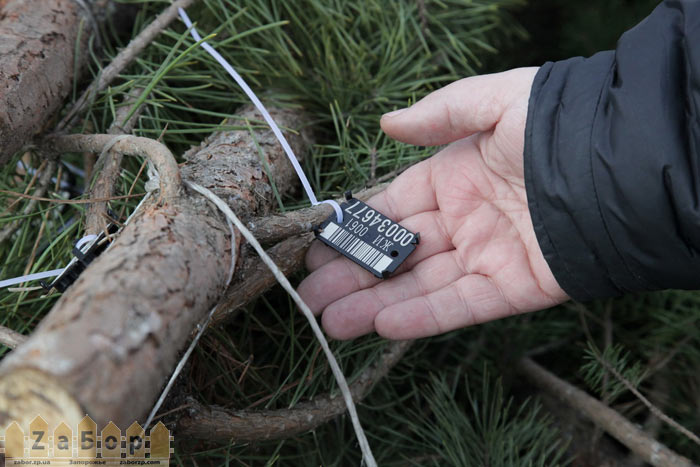 ����� �� ����� � ���������