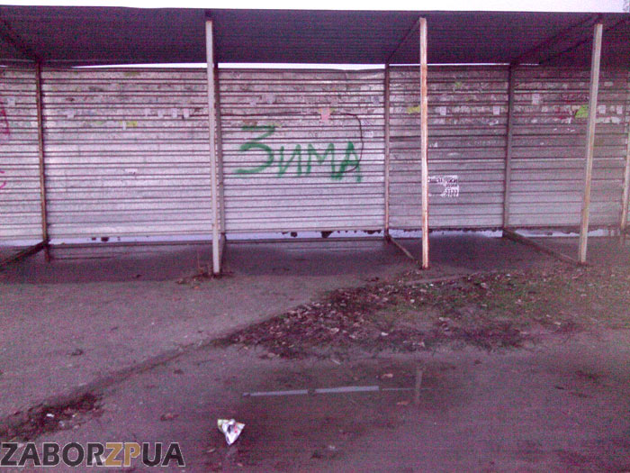 �� ����� �������� ����