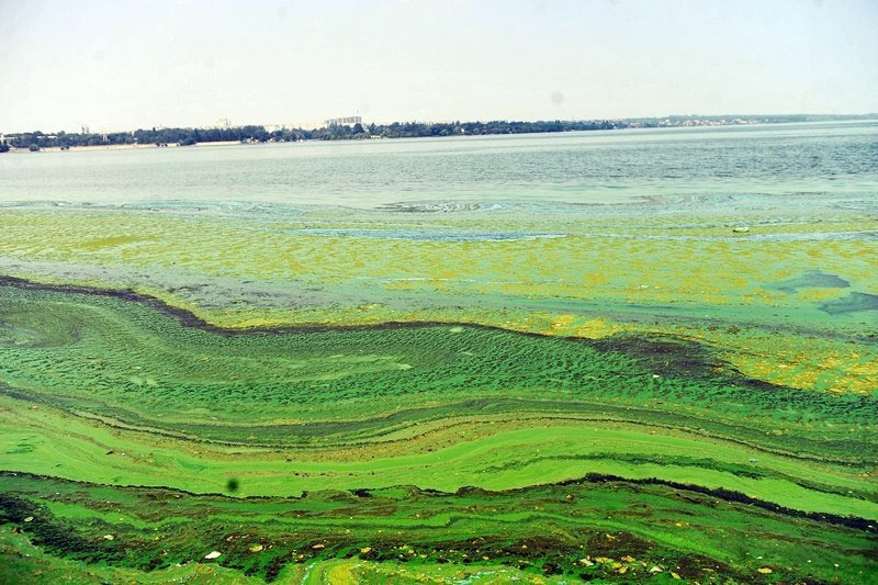 ����� ������ � ������ ����� ������ � ���������