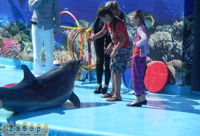 �������� ����������� ����� � ����������