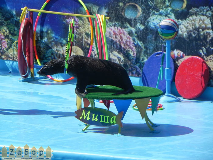 �������� ����������� ����� � ����������