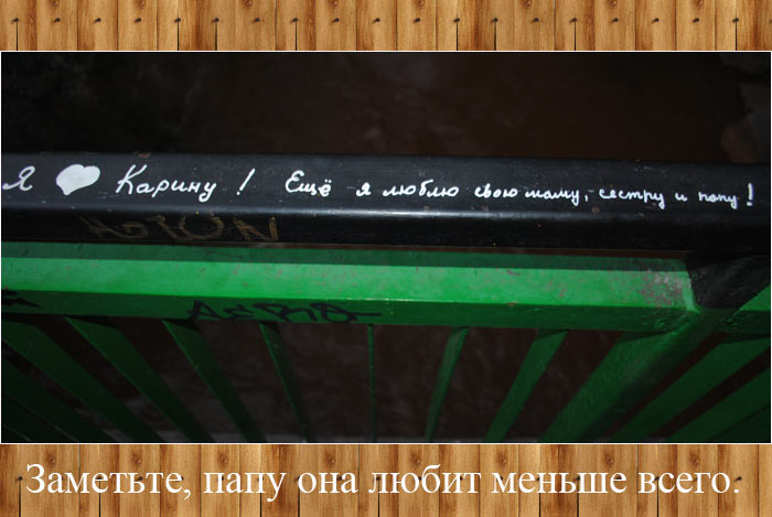 ���� ����� ������ ����