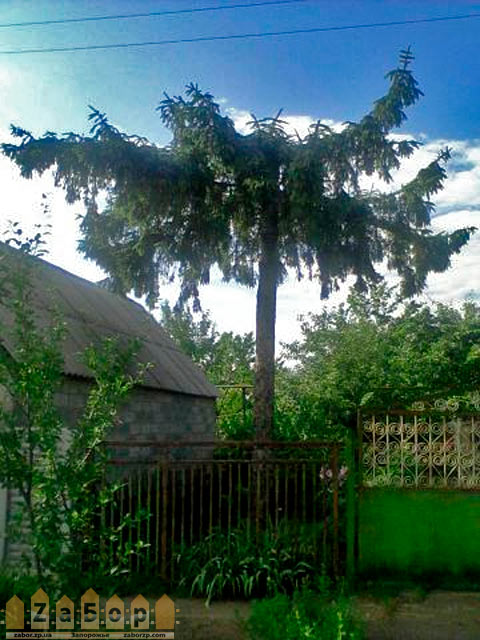 ��� � �����. ������-����