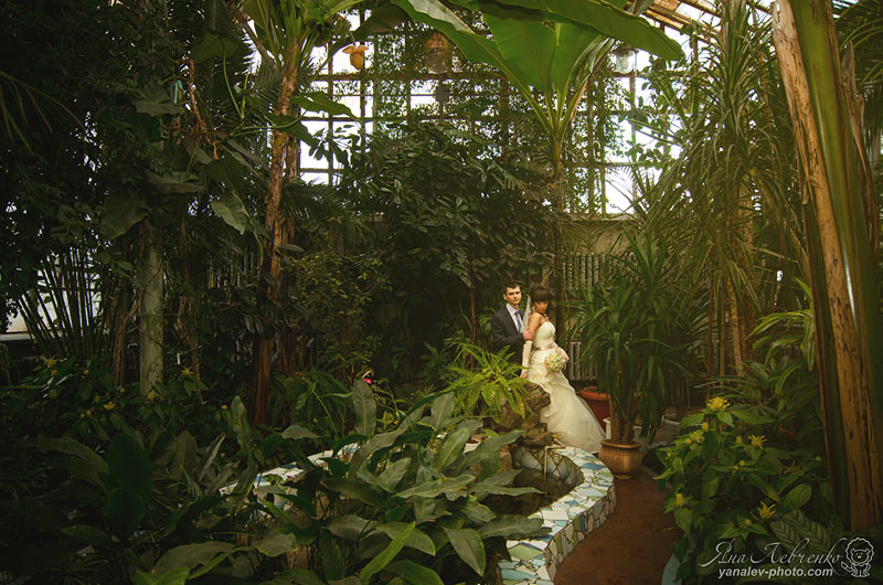 �������� ��� (��������) ���������