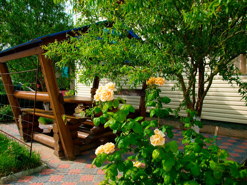 ���� ������ ������� �� ��������� ���� � ���. ����������