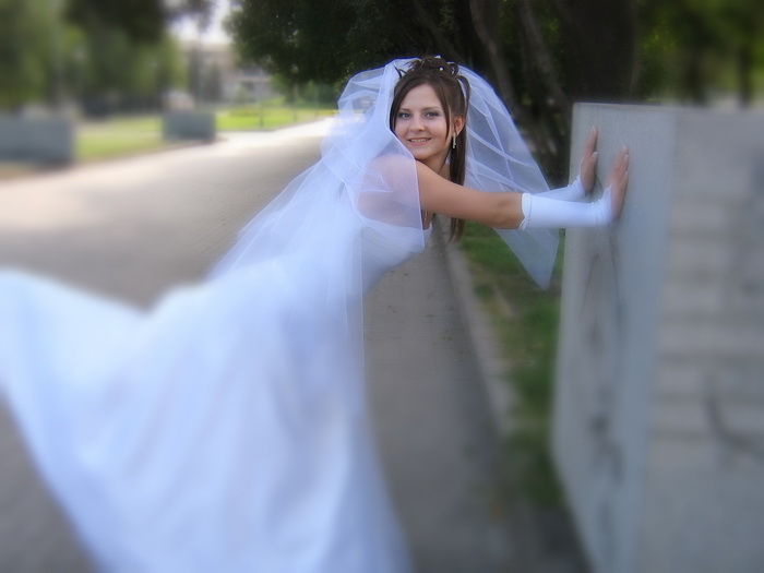 ������ ����