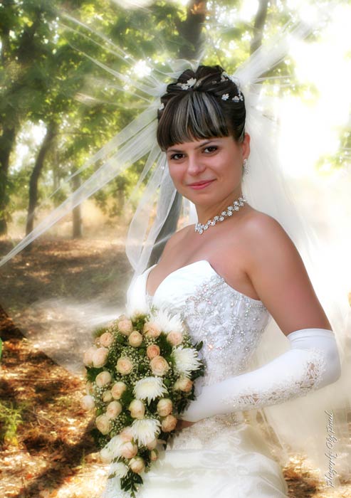 ���� ����������