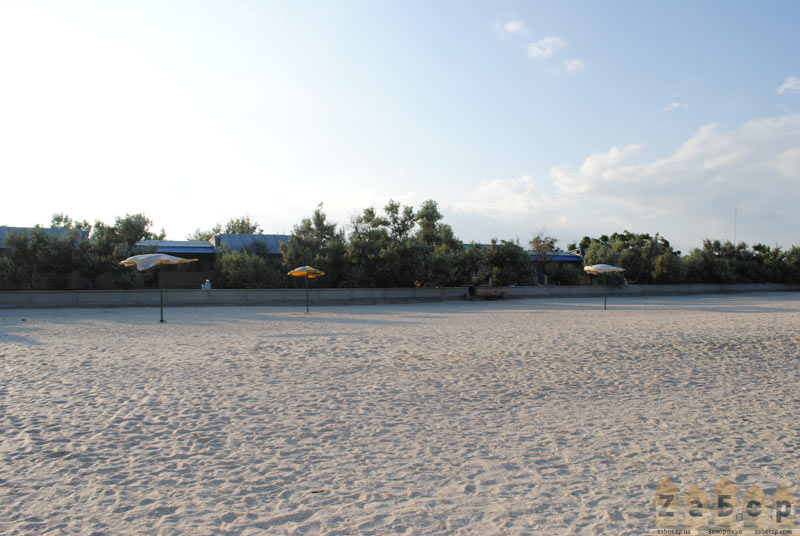 ���� ���� ������ ������� ����� � ���������� (��������)