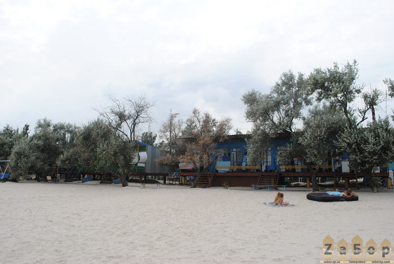 ���� - ���� ������ � ���. ���������� (��������)