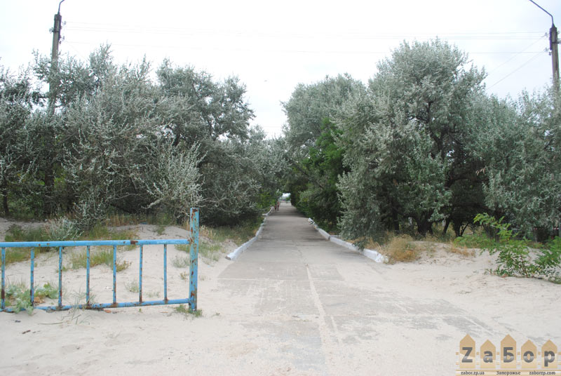 ������ - ���� ������ � ���. ���������� (��������)