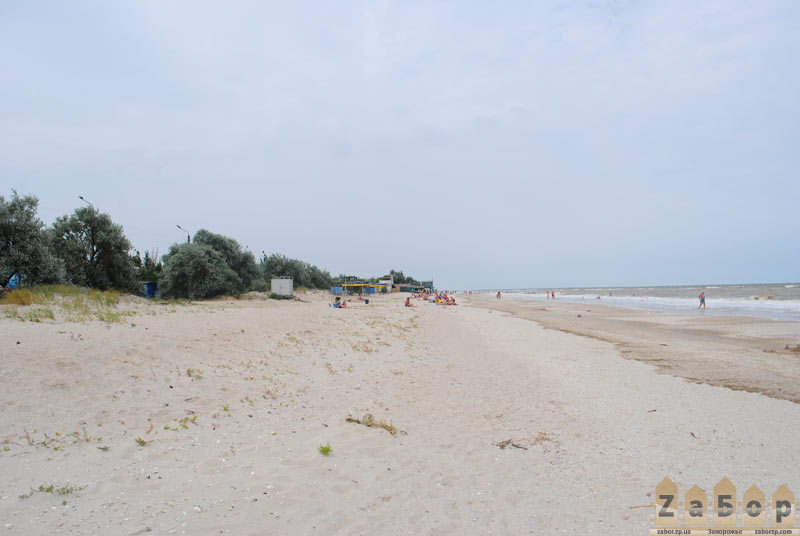 ������  - ���� ������ � ���. ���������� (��������)