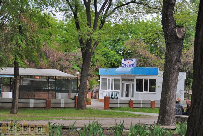 ���� ����� (���������)