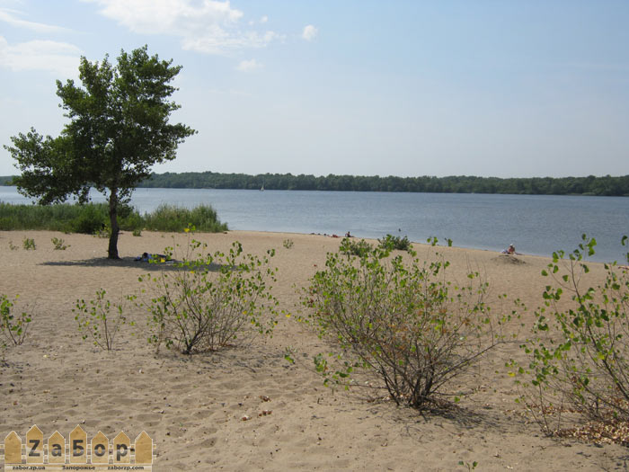 ���������� ���� (���������)