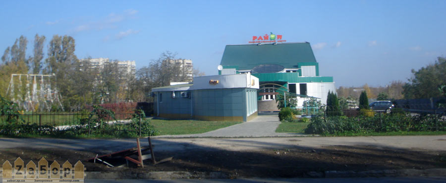 ������ ���� ����� � ���������