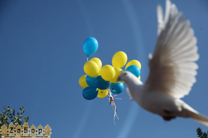 ���������� �������-2012 � ���������