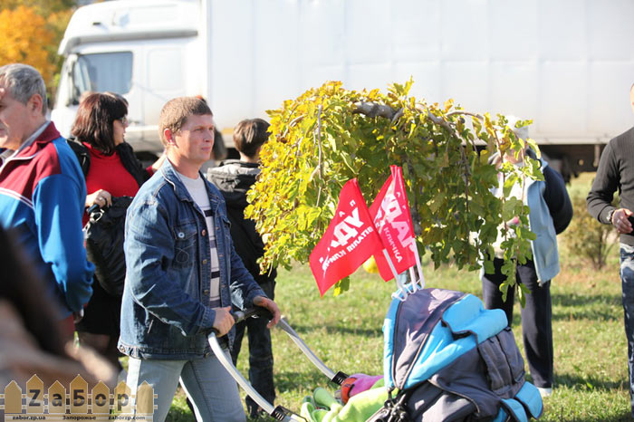 ������ �� ������� � ���������