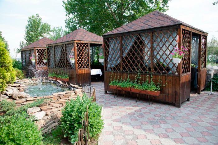 �������� ���� - �������� � ���������