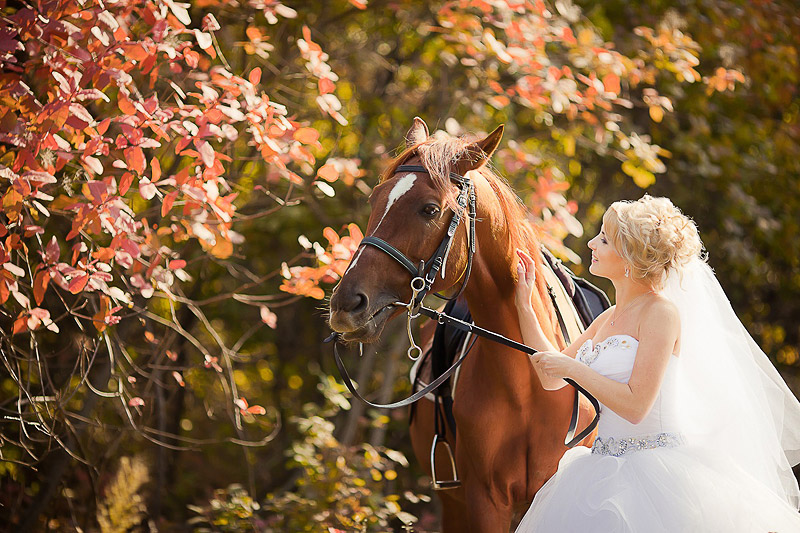 ����������� ����� - �������� (���������)