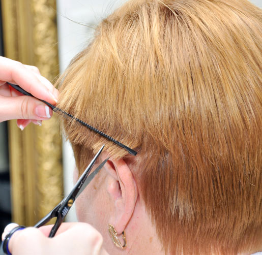 "�������� ����" (����� �������) � ���������