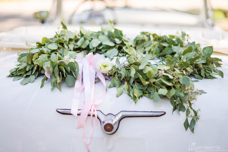 "���������" (��������� ����������� �����)