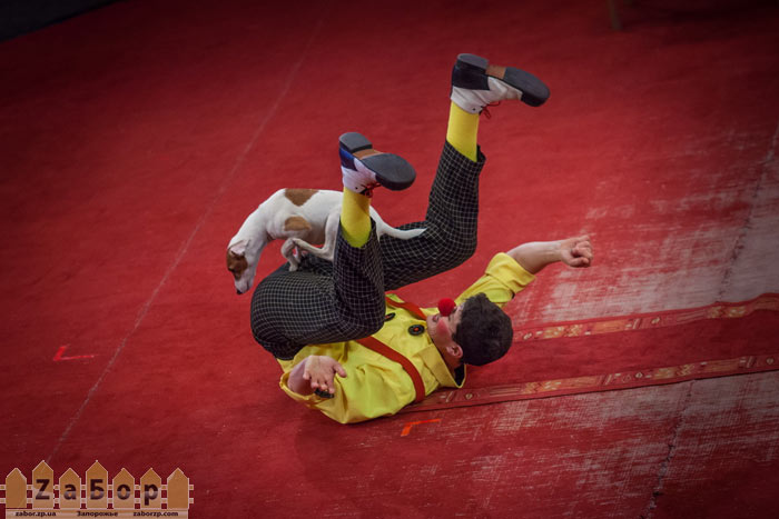 ���� "������� ������" � ���������