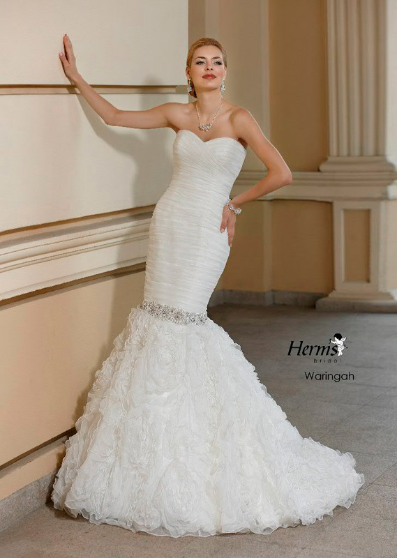 ������ (��������� �����) � ���������