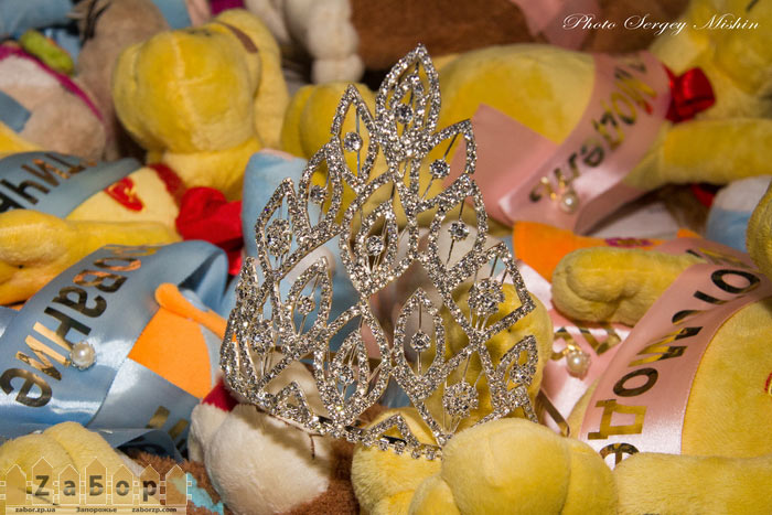 ������ ���� ���� ���������-2013