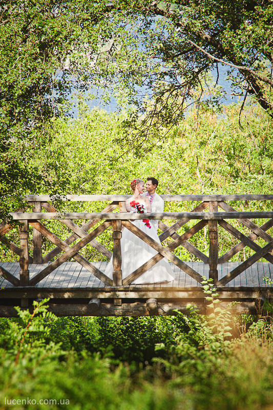 ���� ���� �������