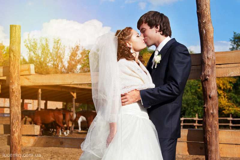 ���� ���� �������