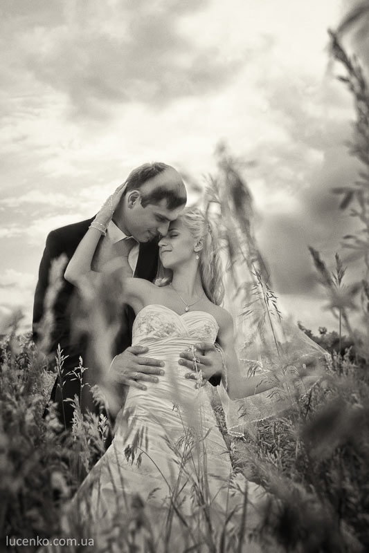 ���� ���� �������